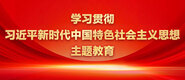 美女日逼草爽学习贯彻习近平新时代中国特色社会主义思想主题教育_fororder_ad-371X160(2)